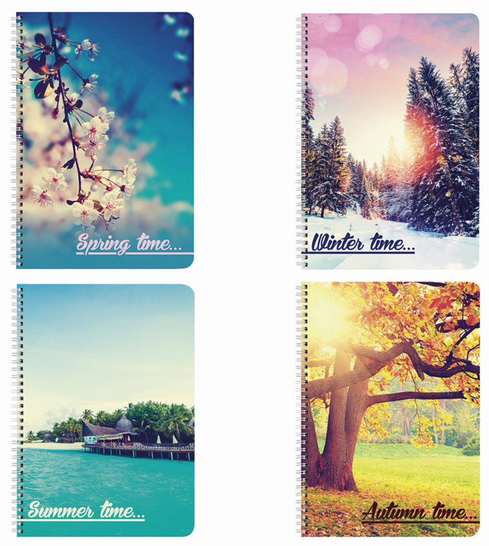 Тетрадь А4 96л. клетка "4 сезона" гребень, обложка картон, в ассортименте (BRAUBERG)