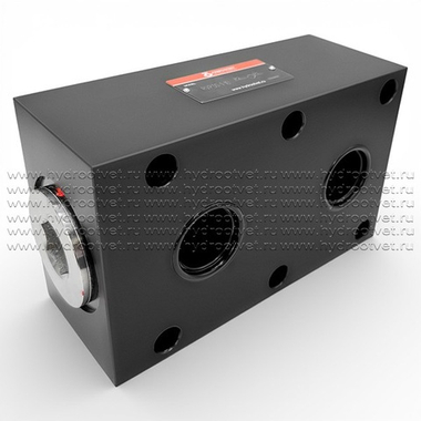 RVP30-1-10 - Обратный клапан для монтажа на плиту Ду30