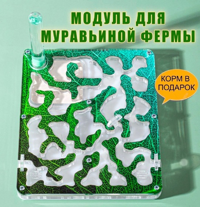 Дополнительный модуль для муравьиной фермы