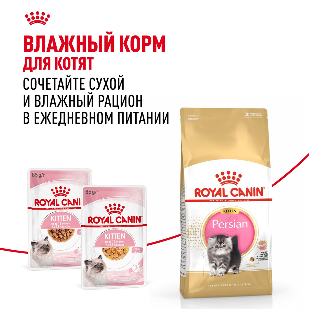 Royal Canin Persian Kitten Персиан Киттен Корм сухой для котят персидской породы до 12 месяцев 10кг