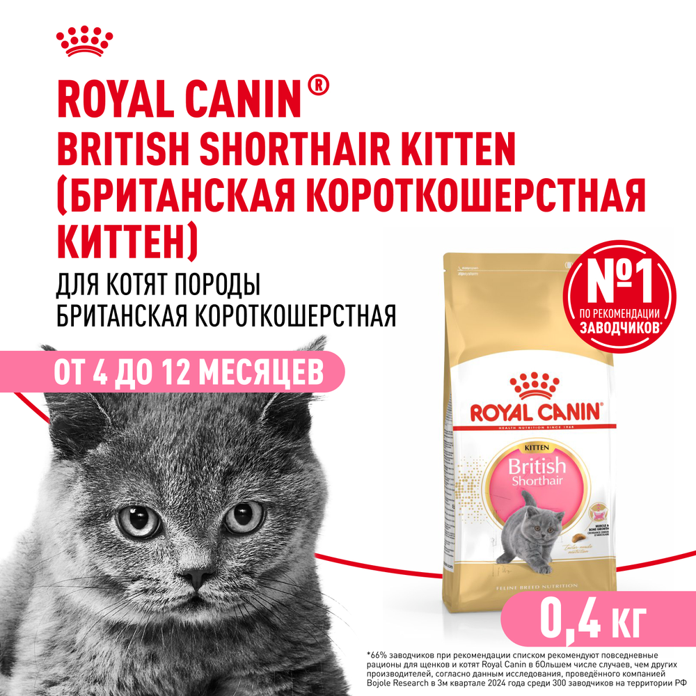 Royal Canin British Shorthair Kitten (БРИТАНСКАЯ КОРОТКОШЕРСТНАЯ КИТТЕН) Корм сухой сбалансированный для британских котят 400г