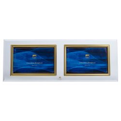 GT 234/-G горизонтальная прямая двойная , золото 10х15 | GT