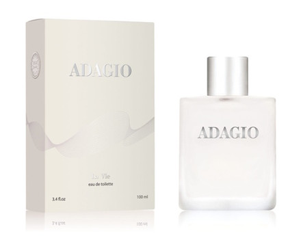 Туалетная вода мужская "La Vie Adagio" 100мл. Dilis