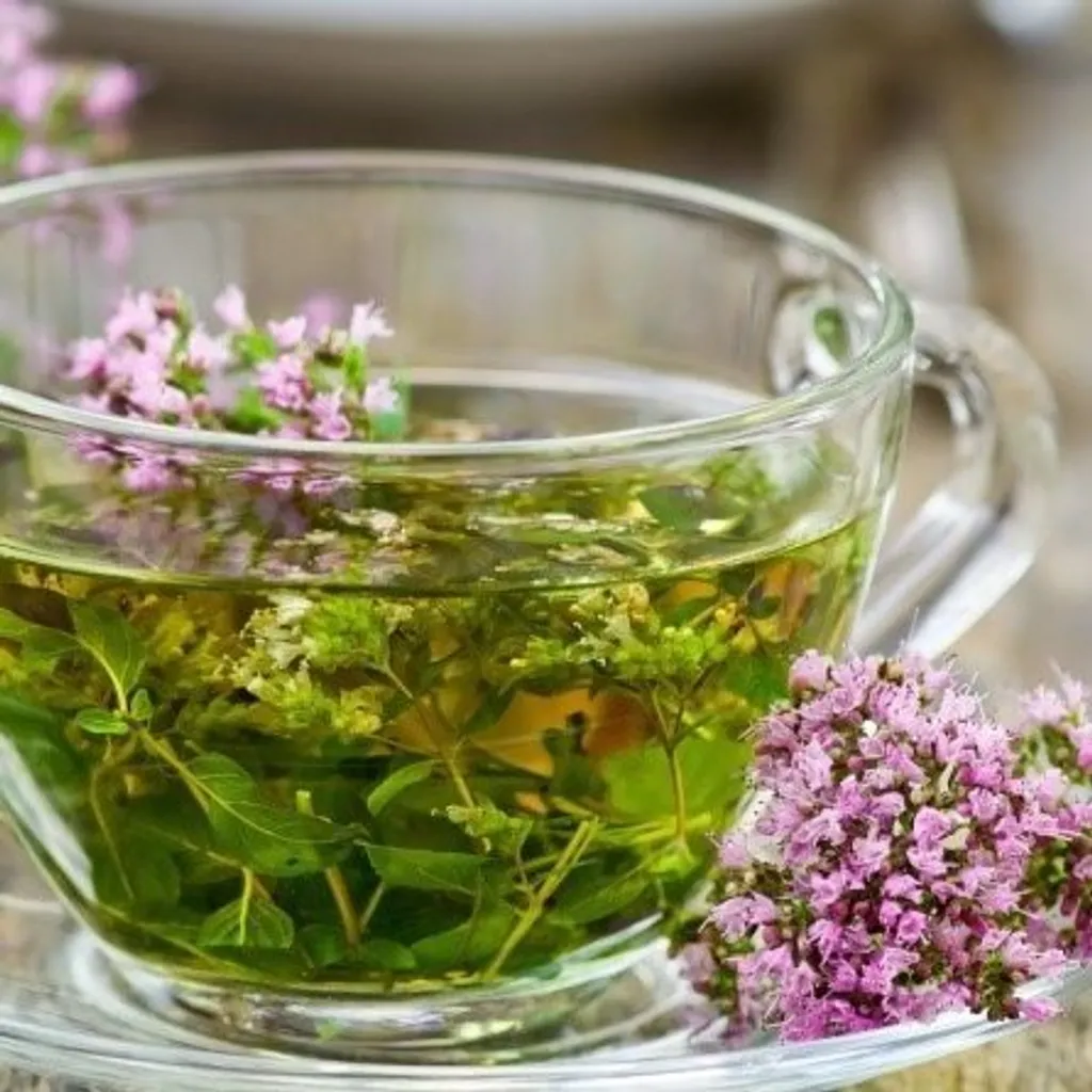 Шалфей для омоложения женьщин