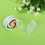 Лента для декорирования «Нежность» 2,5 см, 5 м, Зеленый (капрон)