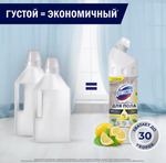 Domestos Средство для мытья полов с ароматом цитрусов и мяты 1л