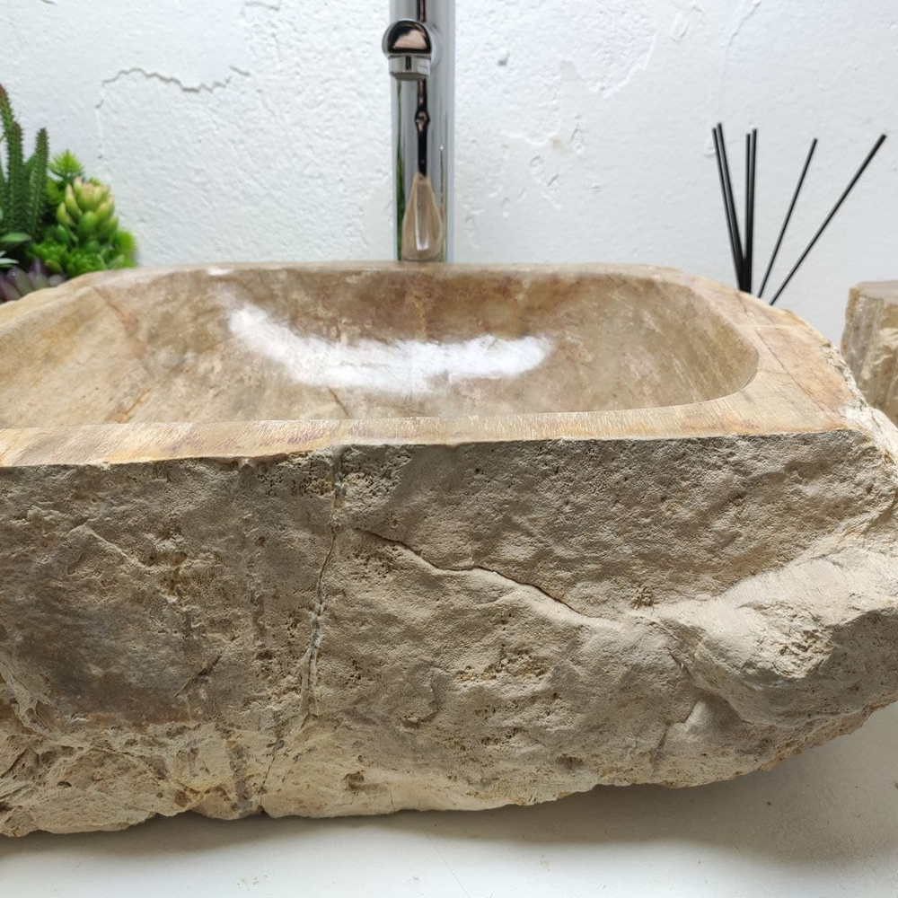 Раковина из окаменелого дерева FossilBasin OD-61259 47*43*17