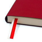 НОВИНКА! Бизнес-тетрадь А4 в клетку BIG BOSS red, 128 листов, гибкая обложка - красный Softtach