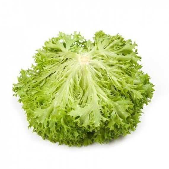 ЭКЗАКТ семена салата саланова Rijk Zwaan характеристика – фото 6