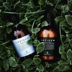 LAPIDEM Холистический кондиционер для волос и кожи головы Лапидем - Holistec Scalp&Agfan Treatment, 500 мл