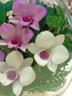 натуральные цветы в стекле, вакуум