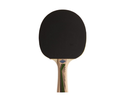 Ракетка н/т Donic Legends 400