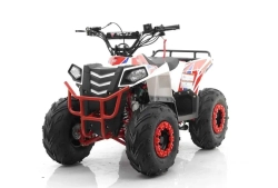 Квадроцикл MOTAX GRIZLIK A110