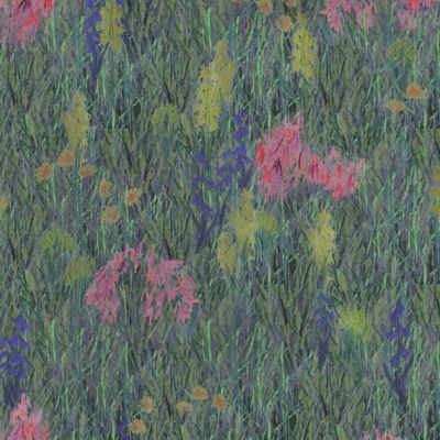 Полевые цветы сумерки