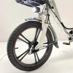 Электровелосипед Green Camel Транк 18 V8