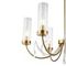 Подвесная люстра ST Luce Illumia SL1400.303.06
