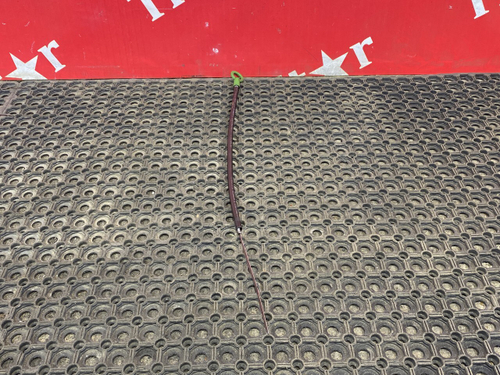 Щуп масляный