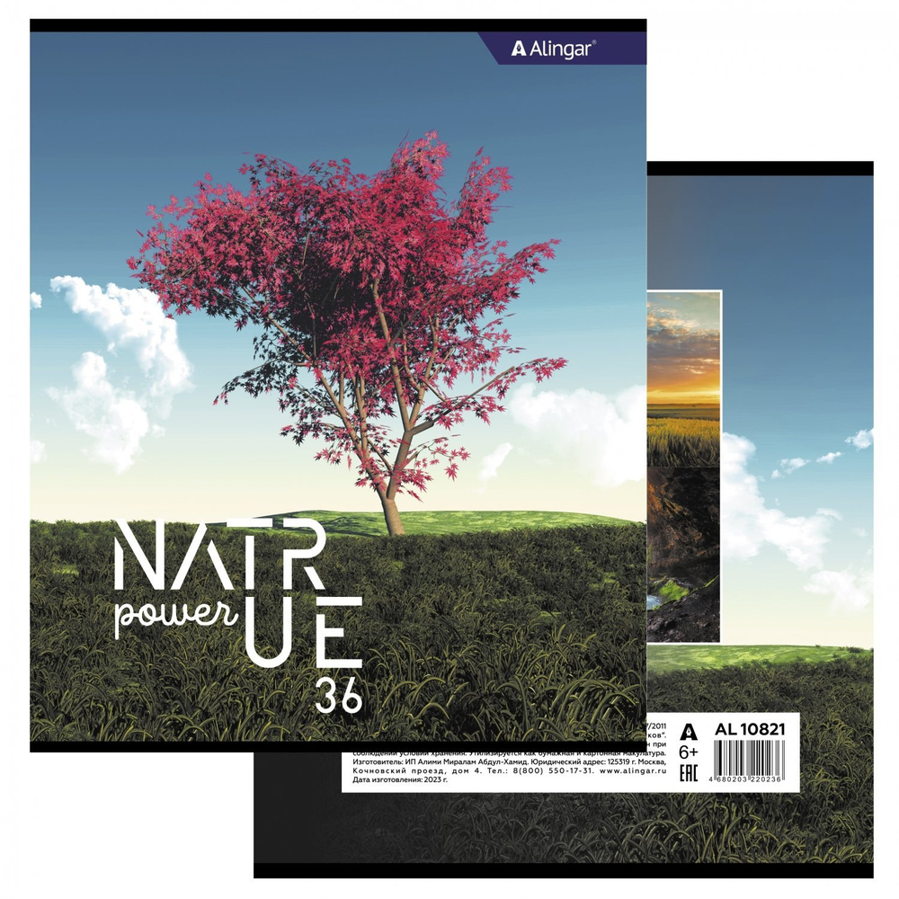 Тетрадь 36 л., А5, клетка, Alingar "Nature power", скрепка, второй блок 60г/м2, мелованный картон (стандарт), 4 дизайна в пленке т/у
