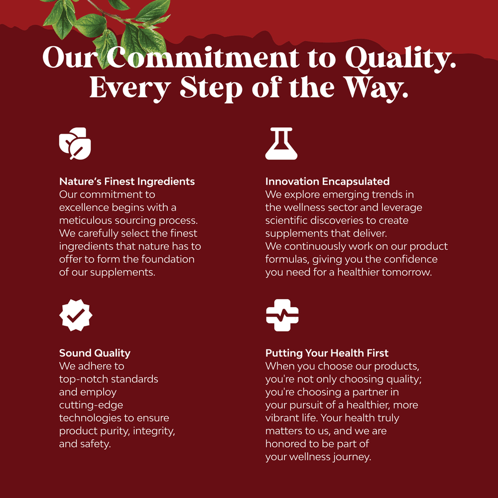 Nature's Craft, красный дрожжевой рис с коэнзимом Q10, 120 капсул