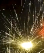 СС3130 Очумелый жук 1/60/3