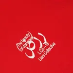 Футболка Damage