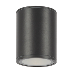 Уличный потолочный светильник Outdoor O306CL-L12GF