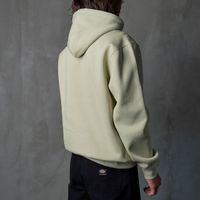  Толстовка мужская Carhartt WIP Hooded Sweatshirt  артикул:I030547_beryl_sorrent - купить в магазине Дайс