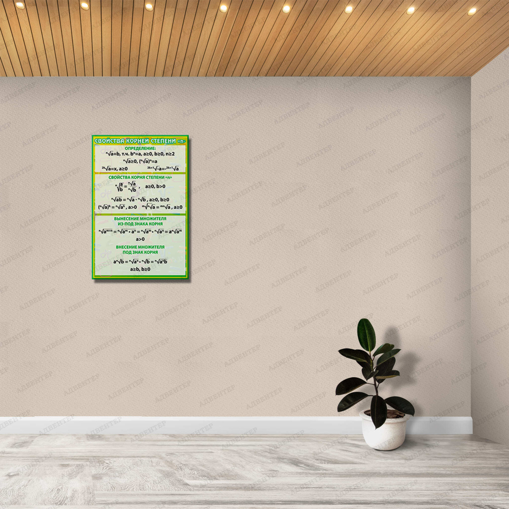 Стенд Свойства корней степени n 1009