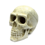 Декоративная композиция ArtUniq Large Skull