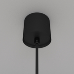 Подвесной светодиодный светильник Maytoni Luna P039PL-5W4K-10-B