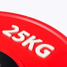 Диск профессиональный обрезиненный (цветной) D51 мм PROFI-FIT 25 кг