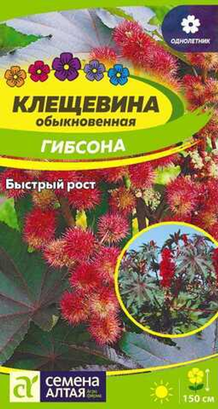 КЛЕЩЕВИНА ГИБСОНА/СЕМ АЛТ/ЦП 3 ШТ.