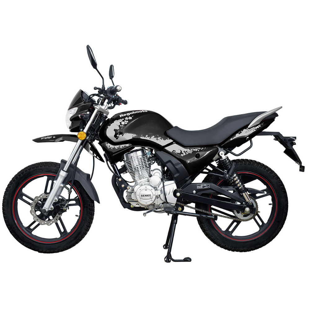 Мотоцикл Regulmoto SK200-9 с ПТС