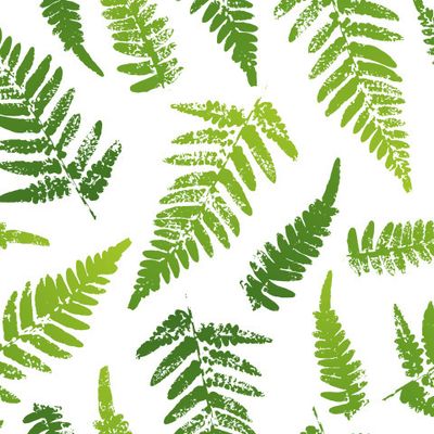 Весенний папоротник