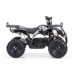 Электроквадроцикл Motax ATV Х-16 1000W Черный