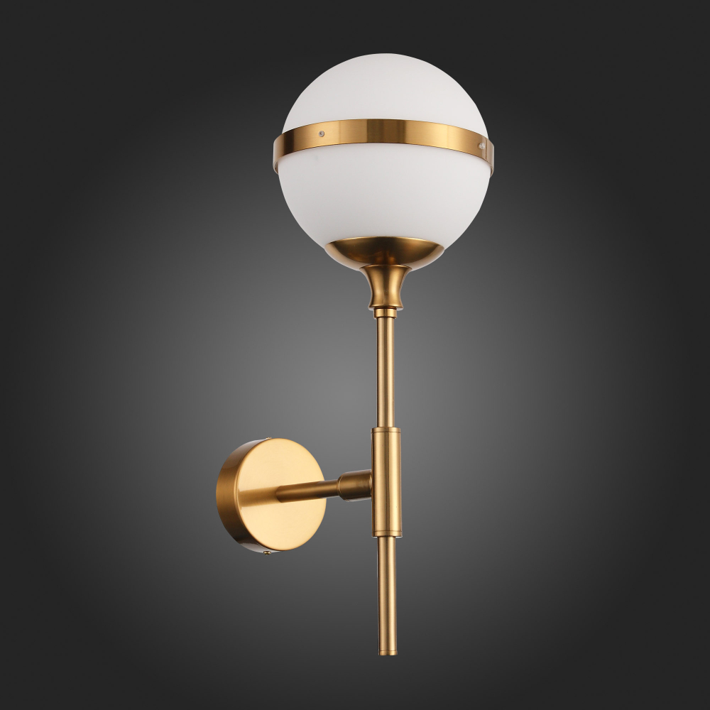 Светильник настенный ST Luce Arbe SL1157.301.01