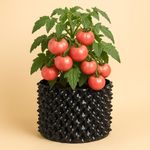 Горшок с перфорацией AERO POT, 50 л