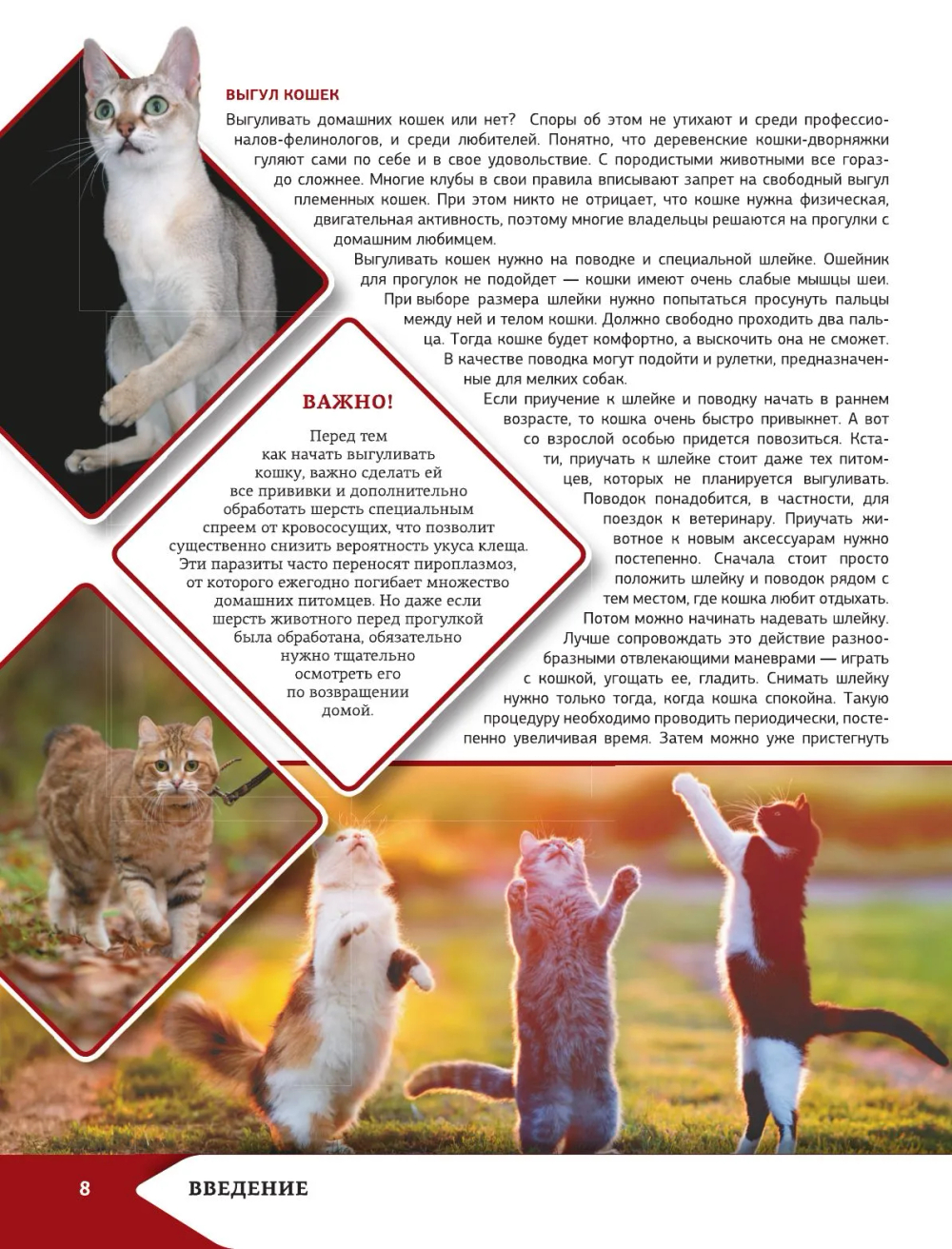 Самая лучшая иллюстрированная энциклопедия. Кошки