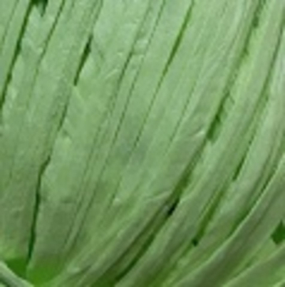 Пряжа "Raffia", 100% целлюлоза 40гр, 50м, (1уп=10шт), мятно-зеленый