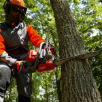 Бензопила EFCO MT 4510 50239154E2 шина 16"/41см