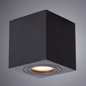 Уличный потолочный светильник A1461PL-1BK черный Galopin Arte lamp
