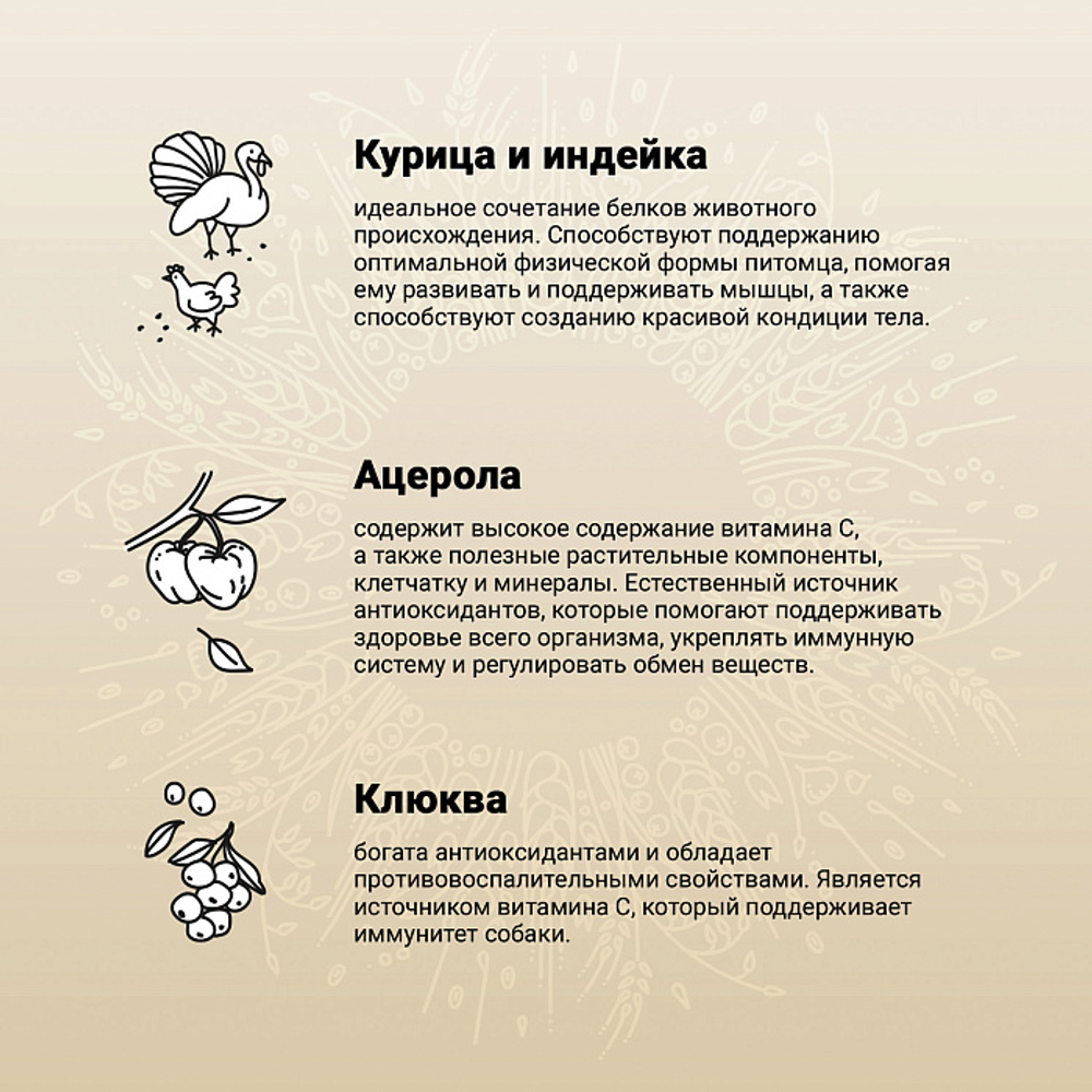 Сухой корм CRAFTIA NATURA для щенков средних и крупных пород из курицы и индейки 640 г