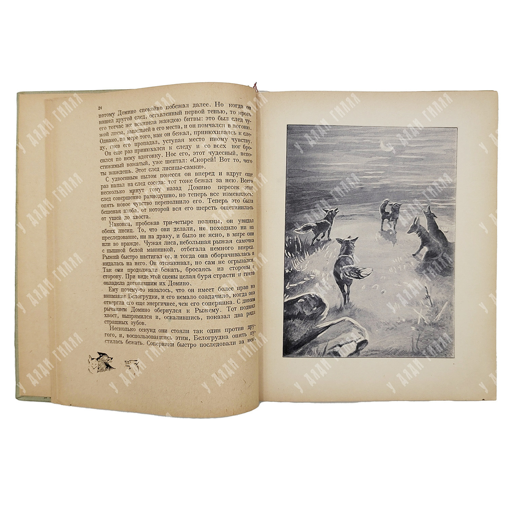 Сетон-Томпсон Э. Домино. Рассказы для старшего возраста. Рис. автора. Москва. Детгиз. 1935 г.