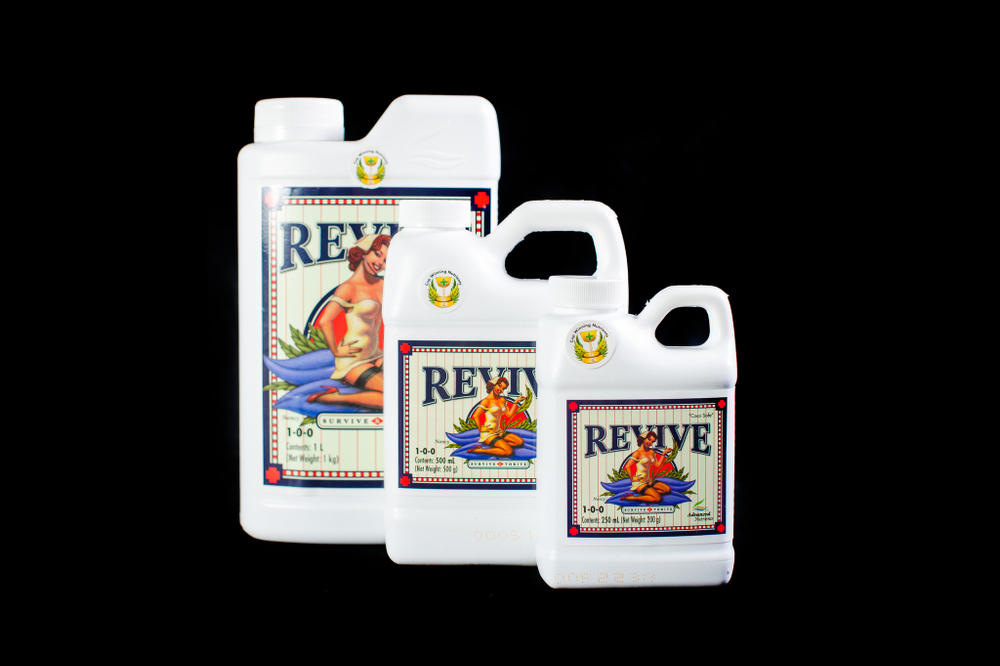 Revive