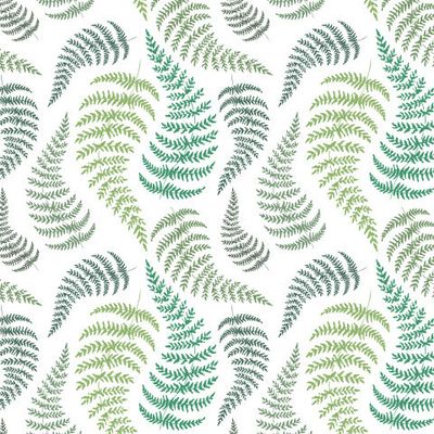 Папоротник зелёный