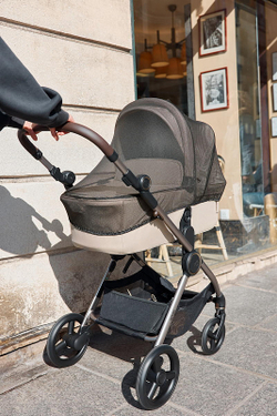 Детская коляска Anex iQ Premium NT 2 в 1 iQ-13-DNA seal