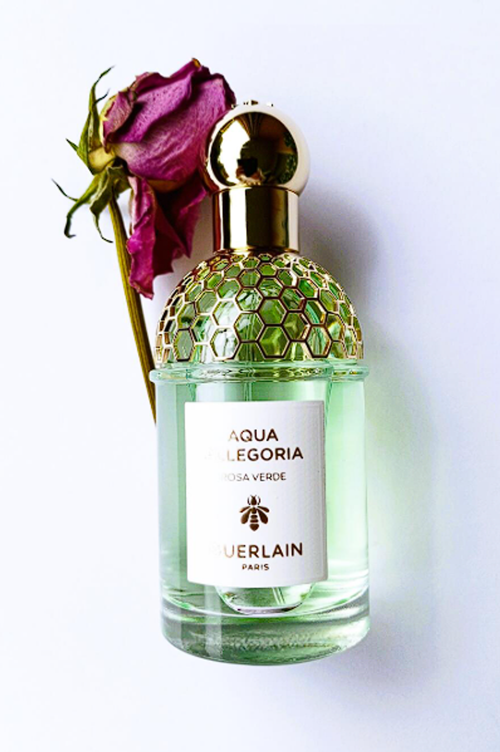 Aqua Allegoria Rosa Verde Guerlain (Коробка парфюма без слюды, парфюм новый, распаковка для фото)