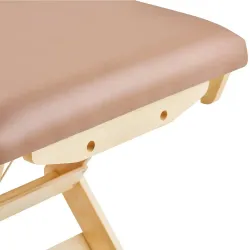 Массажный стационарный стол Mizomed Boast-Tilt SBT1S30