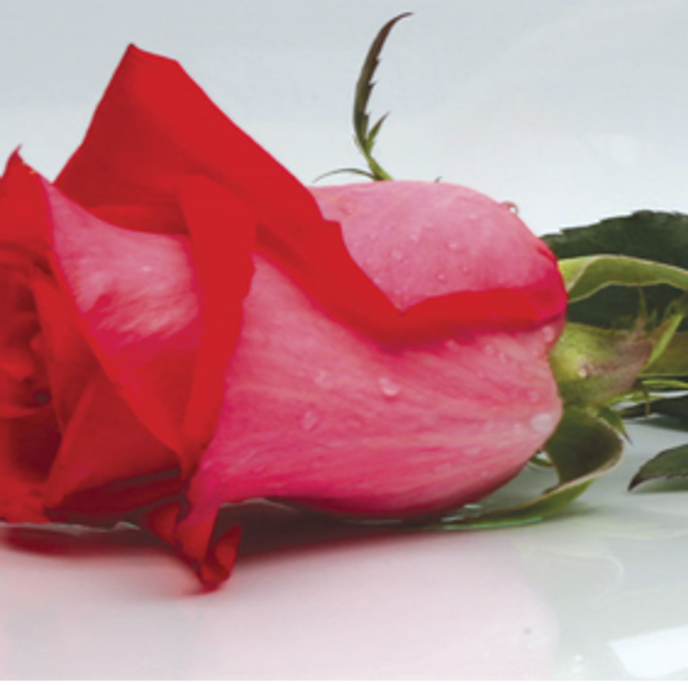 Панель SP 032 2800х610х6