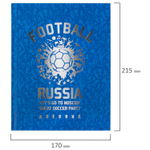 Дневник 5-11 класс 48 л. твердый BRAUBERG фольга с подсказом "Football" (4 штуки в упаковке)